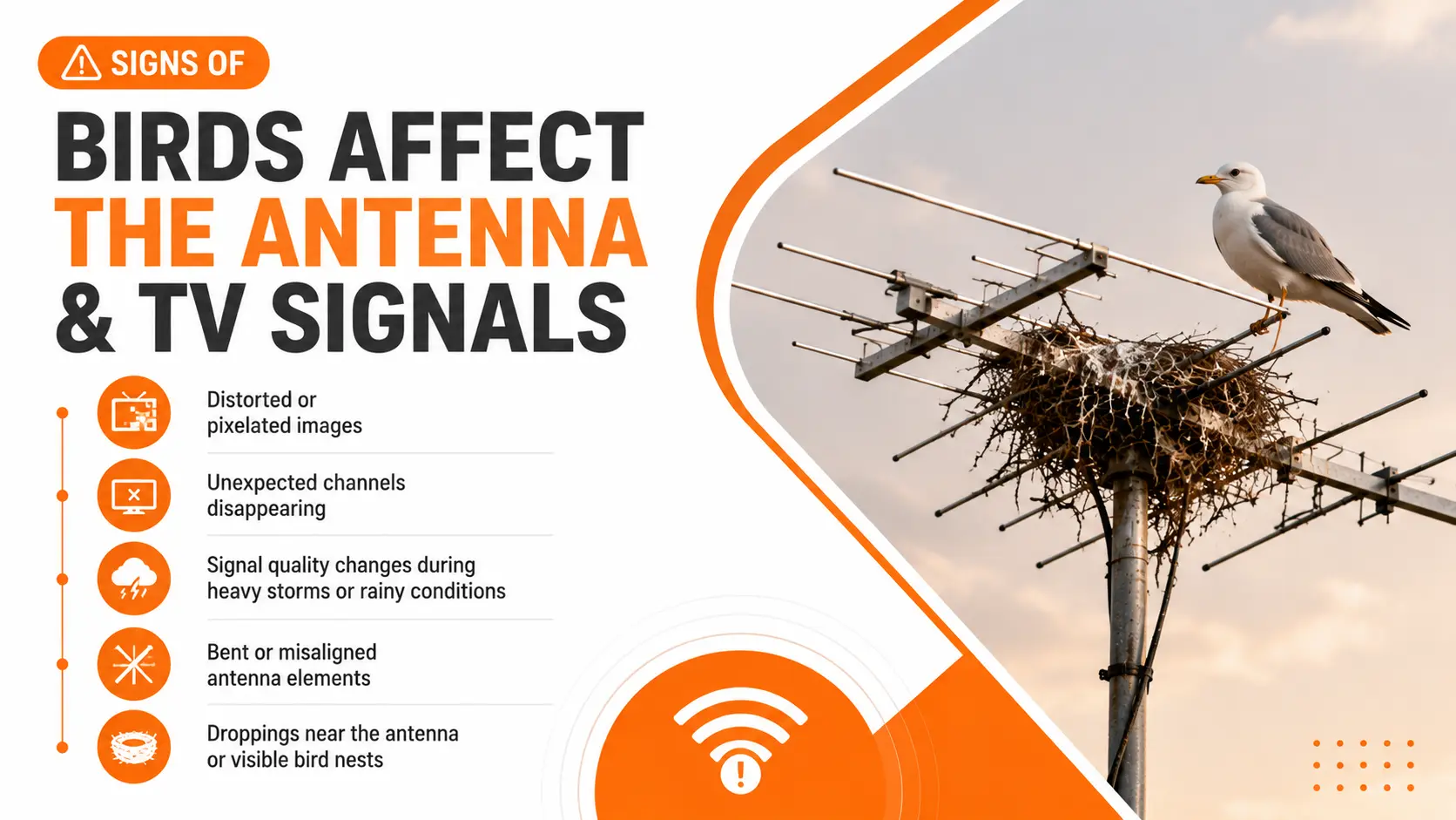 Signs of birds affect the antenna and TV signals